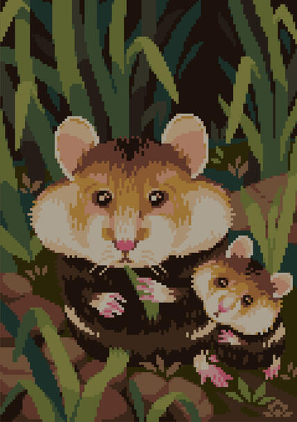 Wild Hamsters